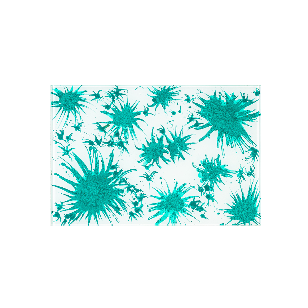 Glasbild #45 – 45x30cm