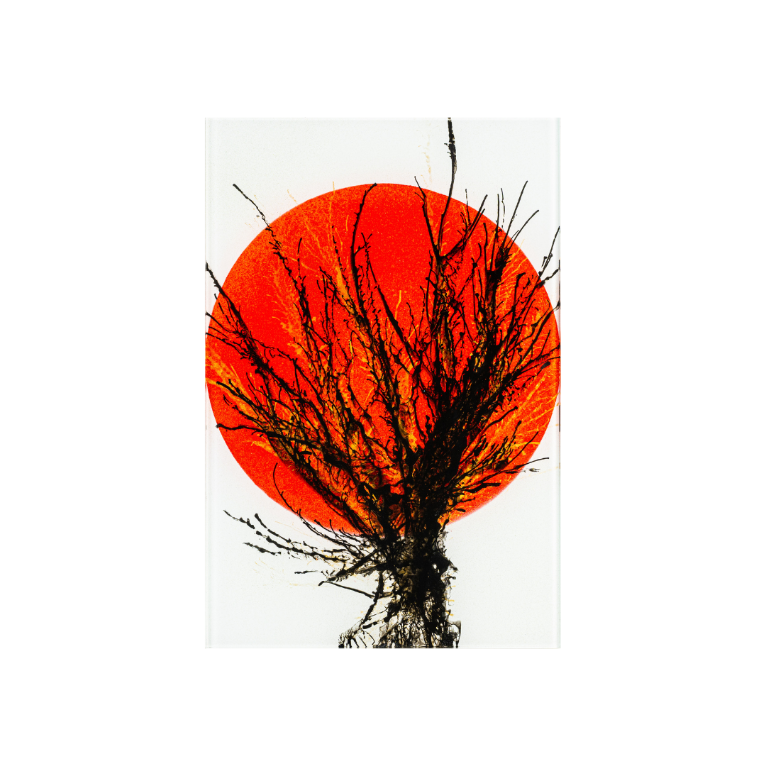 Glasbild #33 – 45x30cm