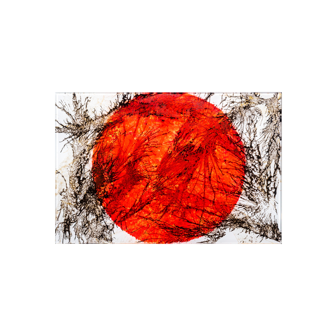 Glasbild #24 – 45x30cm