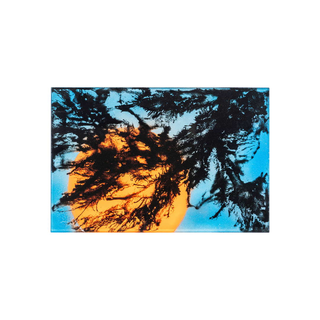 Glasbild #2 – 45x30cm